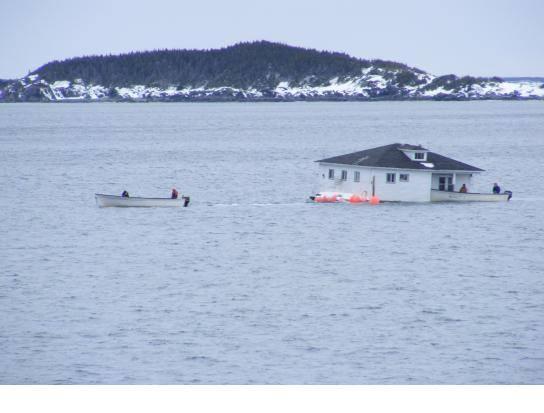 Newfoundland Blank Meme Template