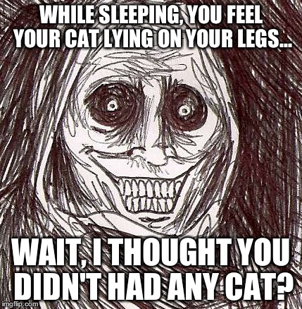 Unwanted House Guest Meme | WHILE SLEEPING, YOU FEEL YOUR CAT LYING ON YOUR LEGS... WAIT, I THOUGHT YOU DIDN'T HAD ANY CAT? | image tagged in memes,unwanted house guest | made w/ Imgflip meme maker