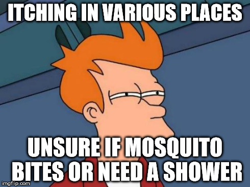 Futurama Fry Meme | ITCHING IN VARIOUS PLACES UNSURE IF MOSQUITO BITES OR NEED A SHOWER | image tagged in memes,futurama fry,AdviceAnimals | made w/ Imgflip meme maker