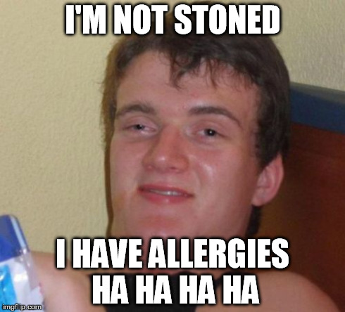 10 Guy | I'M NOT STONED I HAVE ALLERGIES HA HA HA HA | image tagged in memes,10 guy | made w/ Imgflip meme maker