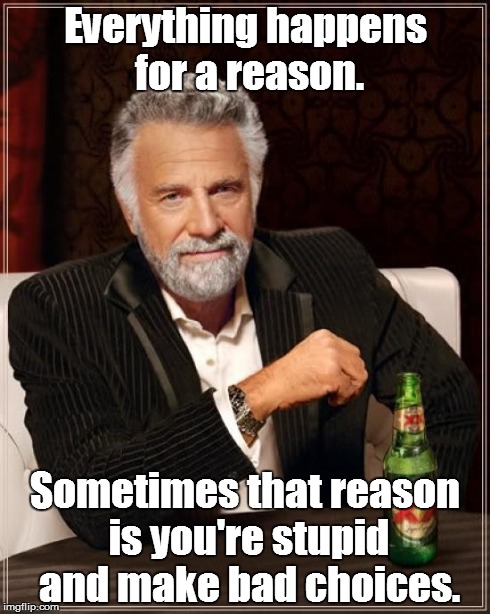 The Most Interesting Man In The World Meme | Everything happens for a reason. Sometimes that reason is you're stupid and make bad choices. | image tagged in memes,the most interesting man in the world | made w/ Imgflip meme maker