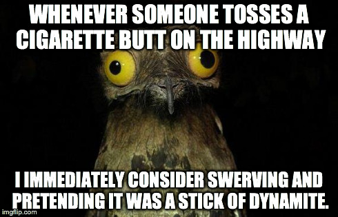 Weird Stuff I Do Potoo Meme | WHENEVER SOMEONE TOSSES A CIGARETTE BUTT ON THE HIGHWAY I IMMEDIATELY CONSIDER SWERVING AND PRETENDING IT WAS A STICK OF DYNAMITE. | image tagged in memes,weird stuff i do potoo | made w/ Imgflip meme maker