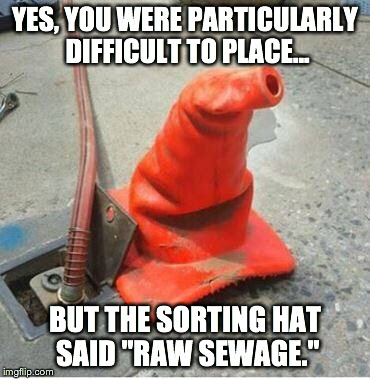 YES, YOU WERE PARTICULARLY DIFFICULT TO PLACE... BUT THE SORTING HAT SAID "RAW SEWAGE." | made w/ Imgflip meme maker
