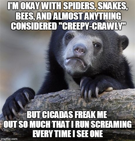 Confession Bear | I'M OKAY WITH SPIDERS, SNAKES, BEES, AND ALMOST ANYTHING CONSIDERED "CREEPY-CRAWLY" BUT CICADAS FREAK ME OUT SO MUCH THAT I RUN SCREAMING EV | image tagged in memes,confession bear | made w/ Imgflip meme maker