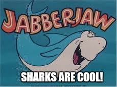 Jabberjaw | SHARKS ARE COOL! | image tagged in jabberjaw | made w/ Imgflip meme maker