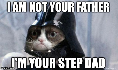 Grumpy Cat Star Wars Meme | I AM NOT YOUR FATHER I'M YOUR STEP DAD | image tagged in grumpy cat vader | made w/ Imgflip meme maker