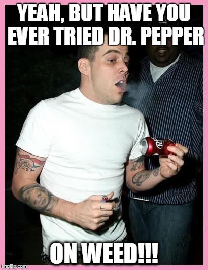 YEAH, BUT HAVE YOU EVER TRIED DR. PEPPER ON WEED!!! | image tagged in steve-o-dr-pepper | made w/ Imgflip meme maker