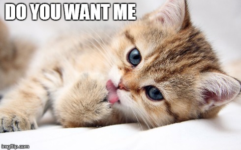 DO YOU WANT ME | made w/ Imgflip meme maker