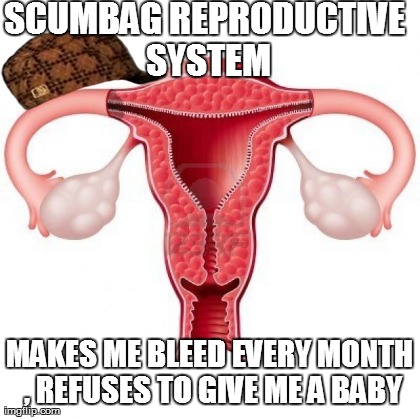 SCUMBAG REPRODUCTIVE SYSTEM MAKES ME BLEED EVERY MONTH , REFUSES TO GIVE ME A BABY | image tagged in infertility | made w/ Imgflip meme maker