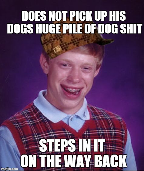 Bad Luck Brian Meme | DOES NOT PICK UP HIS DOGS HUGE PILE OF DOG SHIT STEPS IN IT ON THE WAY BACK | image tagged in memes,bad luck brian,scumbag,AdviceAnimals | made w/ Imgflip meme maker