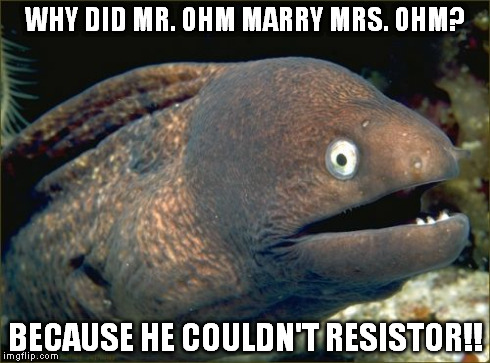 Bad Joke Eel | WHY DID MR. OHM MARRY MRS. OHM? BECAUSE HE COULDN'T RESISTOR!! | image tagged in memes,bad joke eel | made w/ Imgflip meme maker