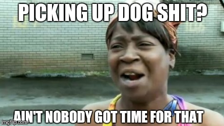 PICKING UP DOG SHIT? AIN'T NOBODY GOT TIME FOR THAT | image tagged in memes,aint nobody got time for that | made w/ Imgflip meme maker