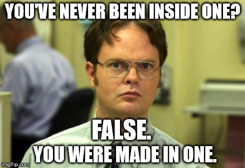 Dwat Schrute | YOU'VE NEVER BEEN INSIDE ONE? FALSE. YOU WERE MADE IN ONE. | image tagged in memes,dwight schrute | made w/ Imgflip meme maker