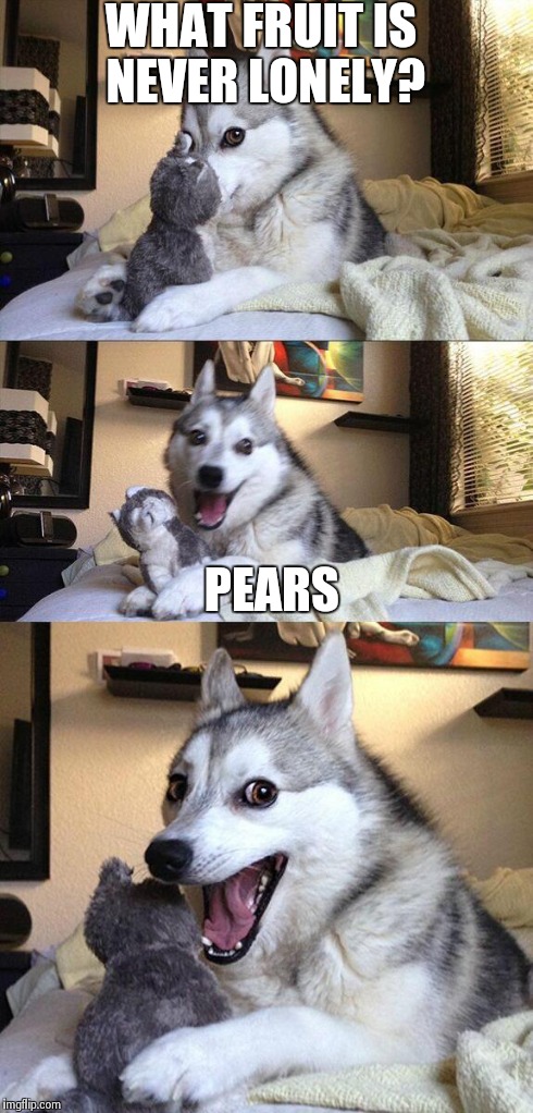 Pears | WHAT FRUIT IS NEVER LONELY? PEARS | image tagged in memes,bad pun dog | made w/ Imgflip meme maker