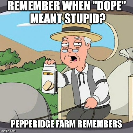 Pepperidge Farm Remembers Meme | REMEMBER WHEN "DOPE" MEANT STUPID? PEPPERIDGE FARM REMEMBERS | image tagged in memes,pepperidge farm remembers | made w/ Imgflip meme maker