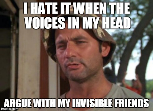 So I Got That Goin For Me Which Is Nice | I HATE IT WHEN THE VOICES IN MY HEAD ARGUE WITH MY INVISIBLE FRIENDS | image tagged in memes,so i got that goin for me which is nice | made w/ Imgflip meme maker