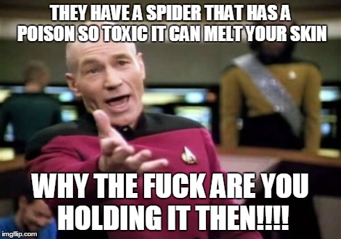 Picard Wtf | THEY HAVE A SPIDER THAT HAS A POISON SO TOXIC IT CAN MELT YOUR SKIN WHY THE F**K ARE YOU HOLDING IT THEN!!!! | image tagged in memes,picard wtf | made w/ Imgflip meme maker