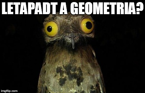 Weird Stuff I Do Potoo Meme | LETAPADT A GEOMETRIA? | image tagged in memes,weird stuff i do potoo | made w/ Imgflip meme maker