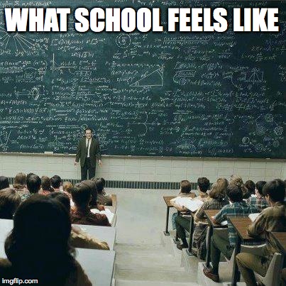 School | WHAT SCHOOL FEELS LIKE | image tagged in school | made w/ Imgflip meme maker