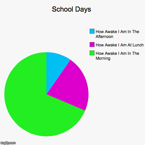 image tagged in funny,pie charts | made w/ Imgflip chart maker