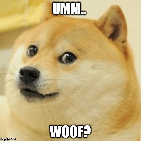 Doge Meme | UMM.. WOOF? | image tagged in memes,doge | made w/ Imgflip meme maker