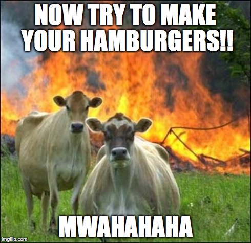 Evil Cows | NOW TRY TO MAKE YOUR HAMBURGERS!! MWAHAHAHA | image tagged in memes,evil cows | made w/ Imgflip meme maker