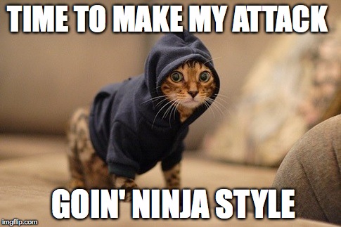 Hoody Cat | TIME TO MAKE MY ATTACK GOIN' NINJA STYLE | image tagged in memes,hoody cat | made w/ Imgflip meme maker