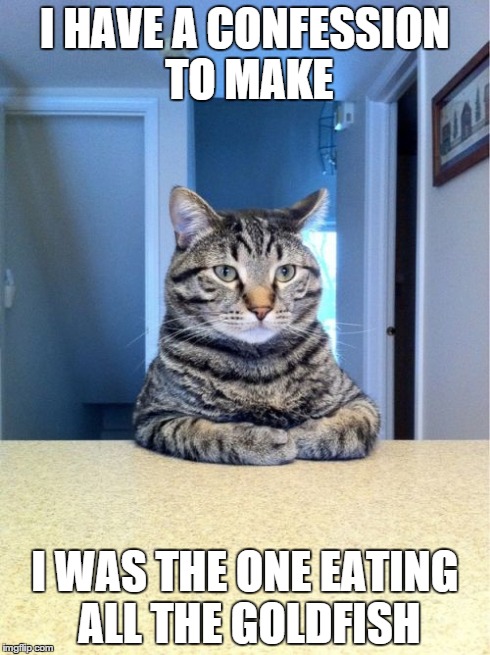 Take A Seat Cat | I HAVE A CONFESSION TO MAKE I WAS THE ONE EATING ALL THE GOLDFISH | image tagged in memes,take a seat cat | made w/ Imgflip meme maker