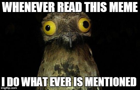 Weird Stuff I Do Potoo | WHENEVER READ THIS MEME I DO WHAT EVER IS MENTIONED | image tagged in memes,weird stuff i do potoo | made w/ Imgflip meme maker