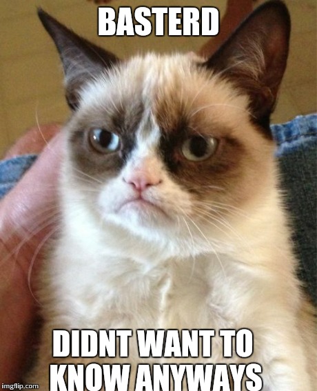 Grumpy Cat Meme | BASTERD DIDNT WANT TO KNOW ANYWAYS | image tagged in memes,grumpy cat | made w/ Imgflip meme maker