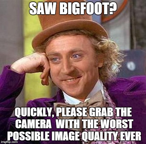 Creepy Condescending Wonka Meme | SAW BIGFOOT? QUICKLY, PLEASE GRAB THE CAMERA 
WITH THE WORST POSSIBLE IMAGE QUALITY EVER | image tagged in memes,creepy condescending wonka | made w/ Imgflip meme maker