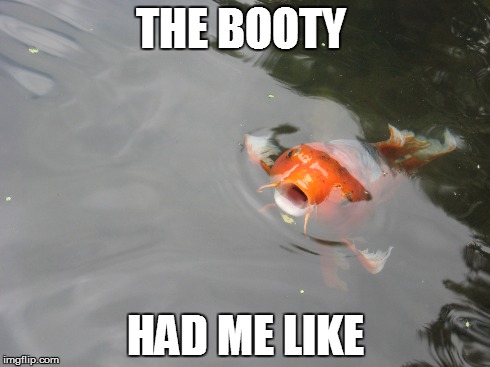 Booty Had Me Like | THE BOOTY HAD ME LIKE | image tagged in booty | made w/ Imgflip meme maker