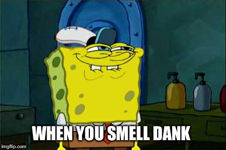 WHEN YOU SMELL DANK | image tagged in memes,dont you squidward | made w/ Imgflip meme maker