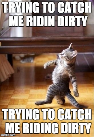 Cool Cat Stroll Meme | TRYING TO CATCH ME RIDIN DIRTY TRYING TO CATCH ME RIDING DIRTY | image tagged in cool cat stroll | made w/ Imgflip meme maker