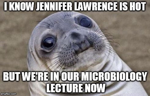 Awkward Moment Sealion Meme | I KNOW JENNIFER LAWRENCE IS HOT BUT WE'RE IN OUR MICROBIOLOGY LECTURE NOW | image tagged in memes,awkward moment sealion | made w/ Imgflip meme maker