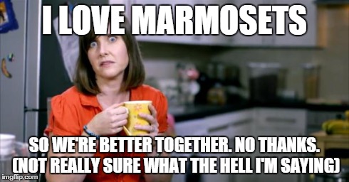 Patronising BT Lady | I LOVE MARMOSETS SO WE'RE BETTER TOGETHER. NO THANKS. (NOT REALLY SURE WHAT THE HELL I'M SAYING) | image tagged in patronising bt lady | made w/ Imgflip meme maker