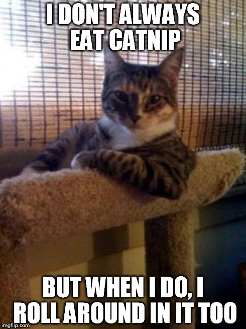 The Most Interesting Cat In The World | I DON'T ALWAYS EAT CATNIP BUT WHEN I DO, I ROLL AROUND IN IT TOO | image tagged in memes,the most interesting cat in the world | made w/ Imgflip meme maker