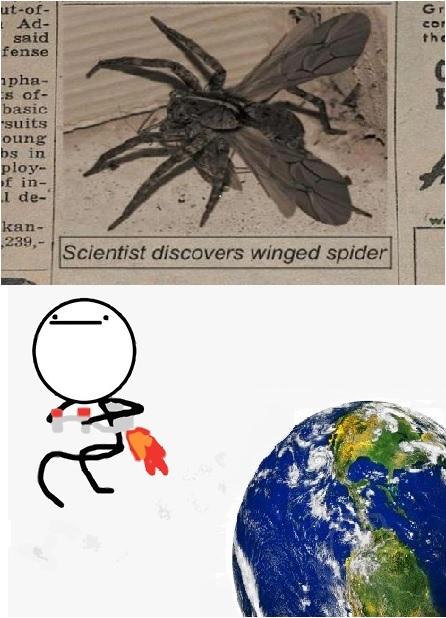 spiders Blank Meme Template