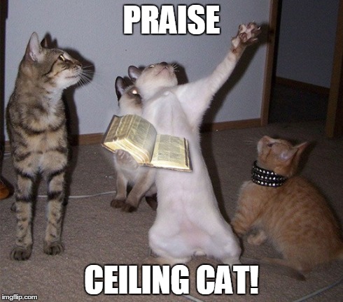 Praise Ceiling Cat! | PRAISE CEILING CAT! | image tagged in ceiling cat | made w/ Imgflip meme maker