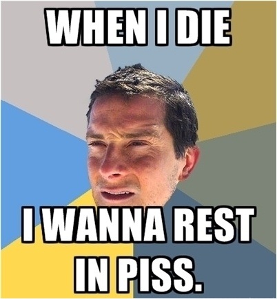 image tagged in memes,funny,bear grylls