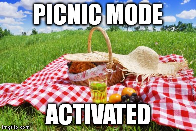 PICNIC MODE ACTIVATED | made w/ Imgflip meme maker