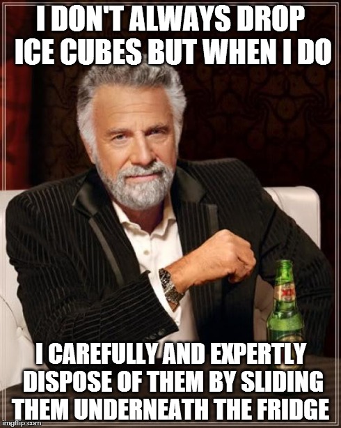 The Most Interesting Man In The World | I DON'T ALWAYS DROP ICE CUBES BUT WHEN I DO I CAREFULLY AND EXPERTLY DISPOSE OF THEM BY SLIDING THEM UNDERNEATH THE FRIDGE | image tagged in memes,the most interesting man in the world | made w/ Imgflip meme maker