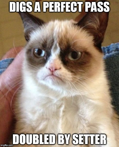 Grumpy Cat | DIGS A PERFECT PASS DOUBLED BY SETTER | image tagged in memes,grumpy cat | made w/ Imgflip meme maker