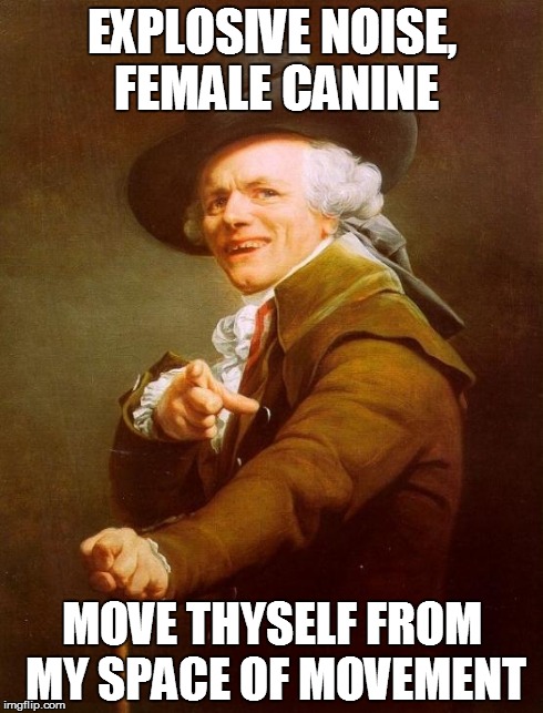 Boom, bitch | EXPLOSIVE NOISE, FEMALE CANINE MOVE THYSELF FROM MY SPACE OF MOVEMENT | image tagged in memes,joseph ducreux | made w/ Imgflip meme maker