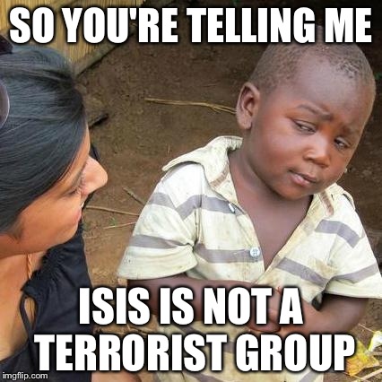 Third World Skeptical Kid Meme | SO YOU'RE TELLING ME ISIS IS NOT A TERRORIST GROUP | image tagged in memes,third world skeptical kid | made w/ Imgflip meme maker