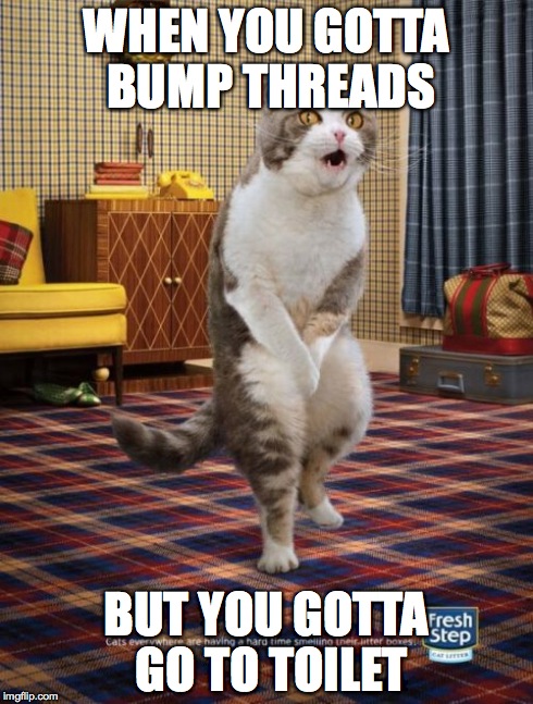 Gotta Go Cat Meme | WHEN YOU GOTTA BUMP THREADS BUT YOU GOTTA GO TO TOILET | image tagged in memes,gotta go cat | made w/ Imgflip meme maker