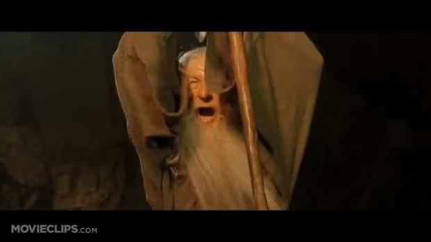 You Shall Not Pass Blank Meme Template