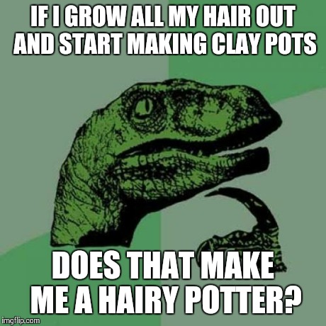 Philosoraptor | IF I GROW ALL MY HAIR OUT AND START MAKING CLAY POTS DOES THAT MAKE ME A HAIRY POTTER? | image tagged in memes,philosoraptor | made w/ Imgflip meme maker