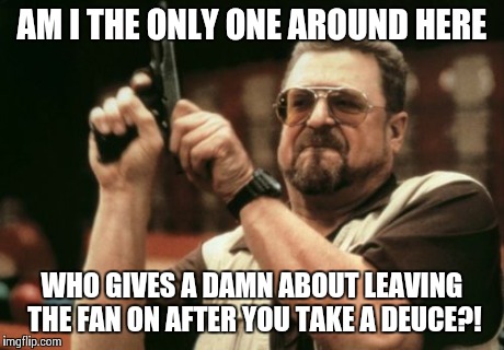 Am I The Only One Around Here Meme | AM I THE ONLY ONE AROUND HERE WHO GIVES A DAMN ABOUT LEAVING THE FAN ON AFTER YOU TAKE A DEUCE?! | image tagged in memes,am i the only one around here | made w/ Imgflip meme maker