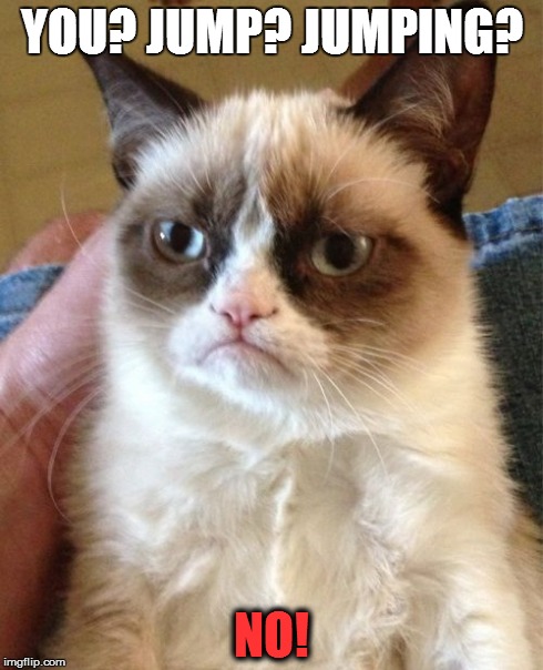 Grumpy Cat | YOU? JUMP? JUMPING? NO! | image tagged in memes,grumpy cat | made w/ Imgflip meme maker